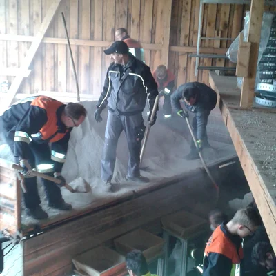 Bild